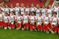Camogie 2013